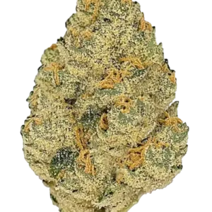 Blueberry Gelato