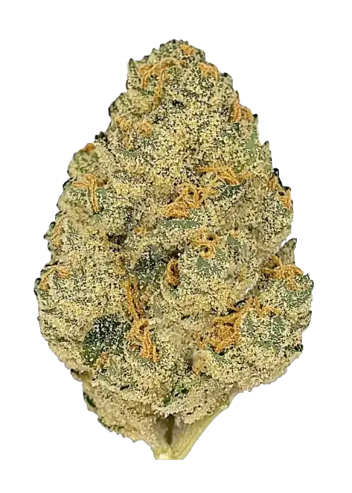 Blueberry Gelato