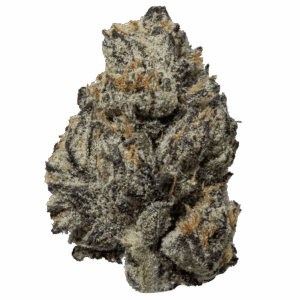 Black Truffle