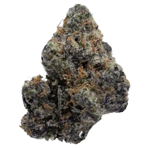 Blue Alien