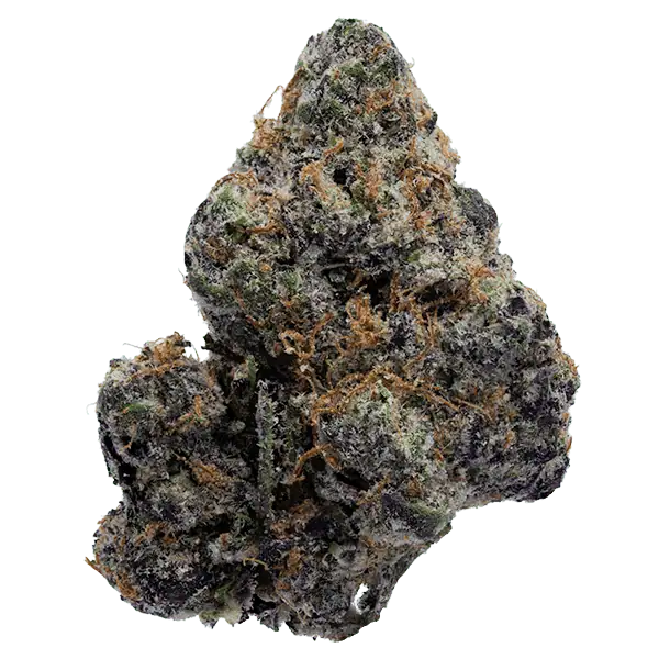 Blue Alien