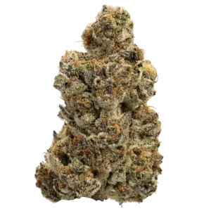 GMO x Gelato