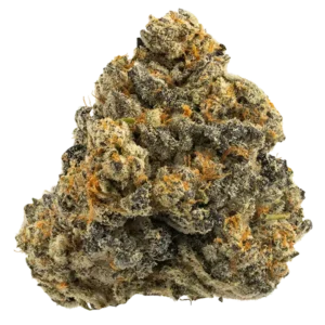 Gas Face