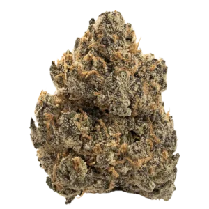 Gruntz