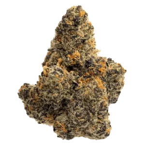 Purple Milk