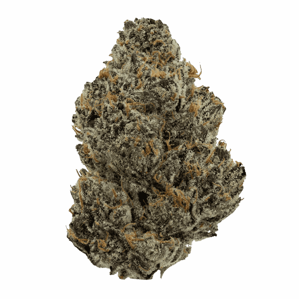 Purple Voodoo