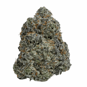Sherbet